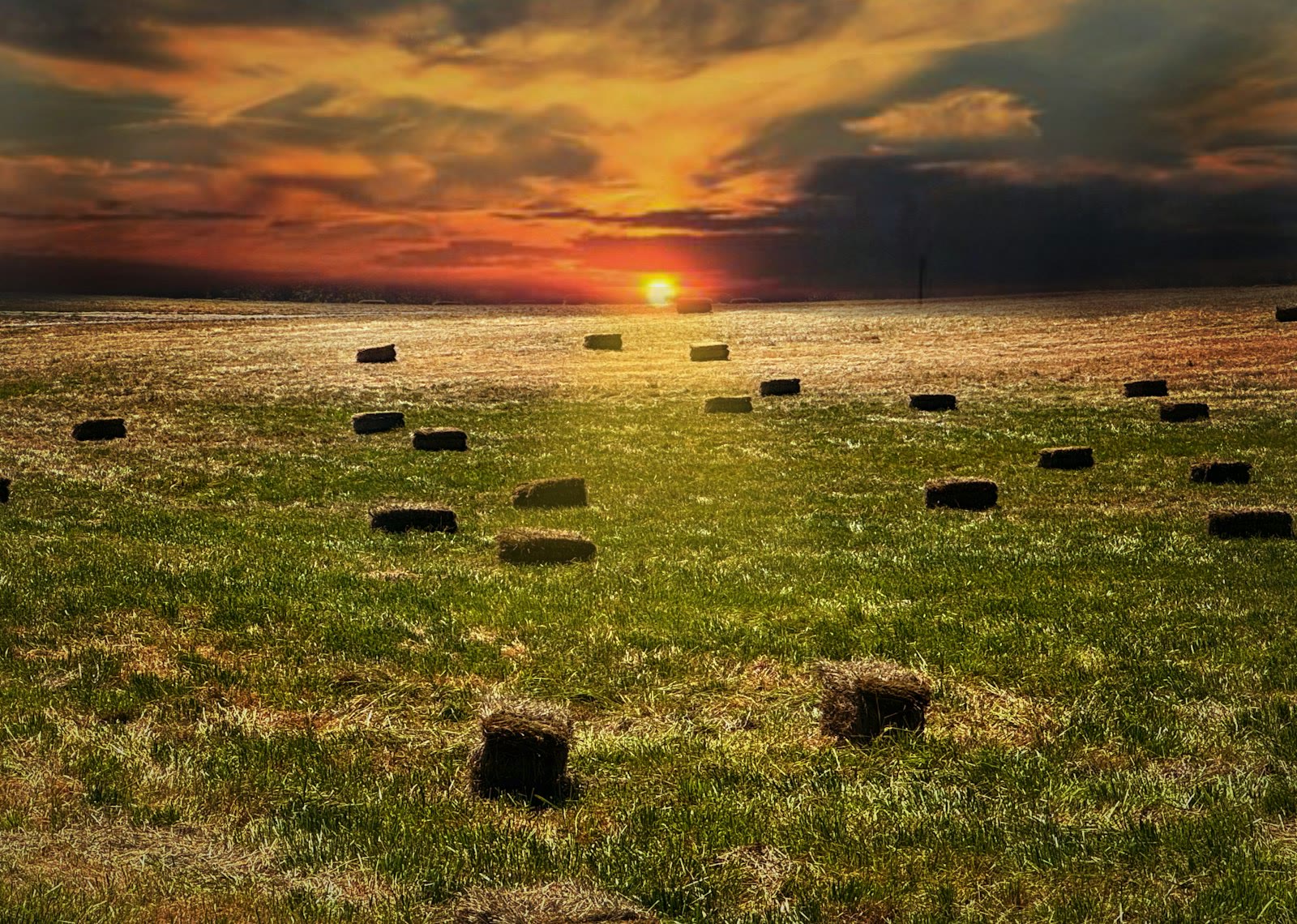 A field with hay bales in the middle of it